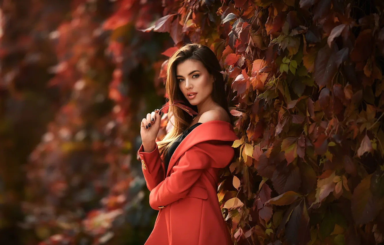 Photo wallpaper autumn, look, leaves, girl, hair, shoulders, coat, Anastasia Barmina