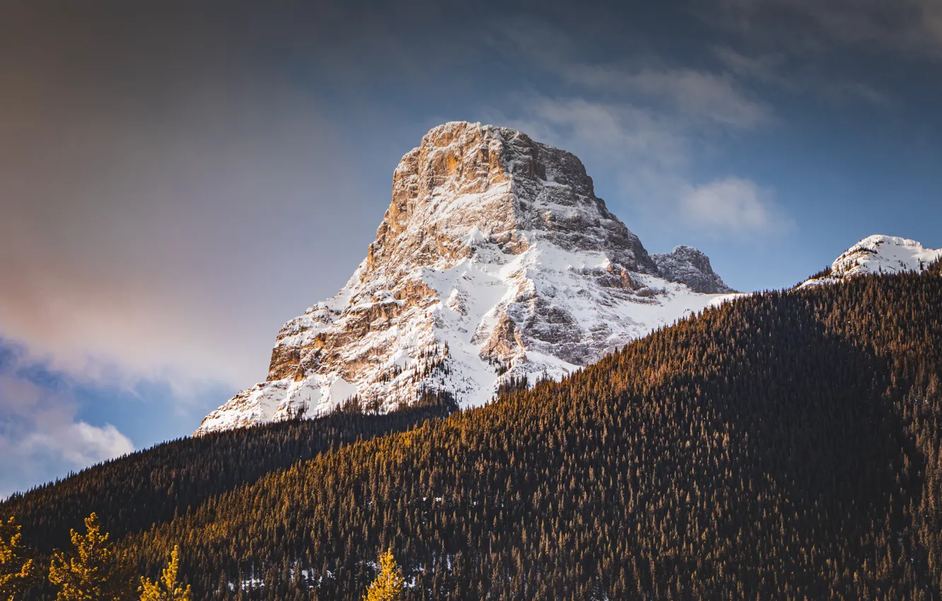 Photo wallpaper trees, landscape, nature, wood, clouds, mountain, snow, Wilderness