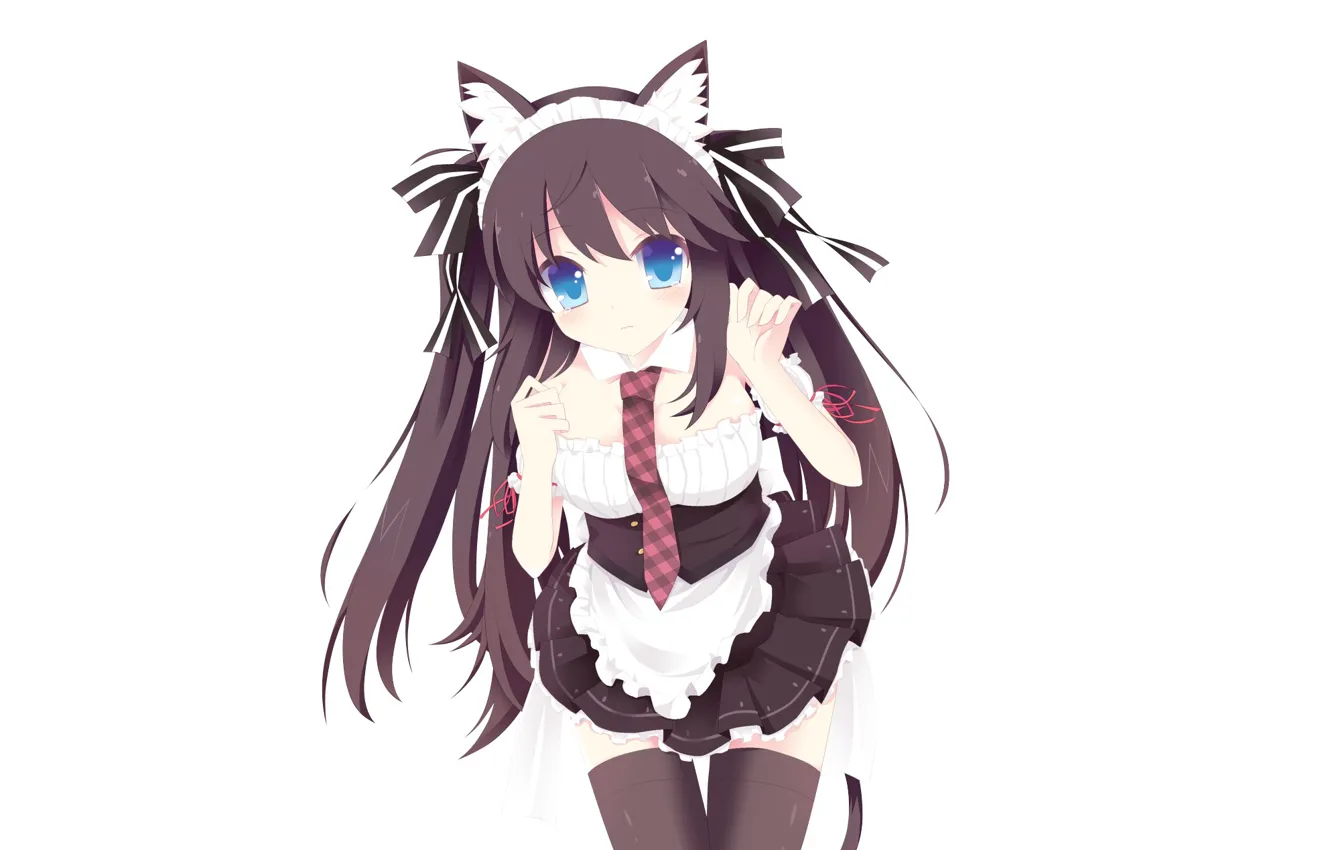 Photo wallpaper background, neko, the maid
