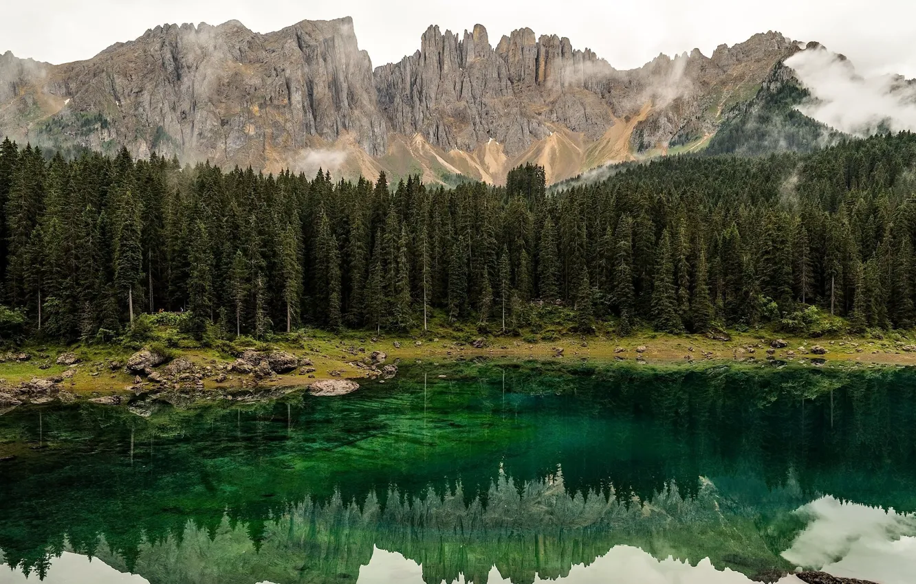 Photo wallpaper forest, mountains, fog, lake, reflection