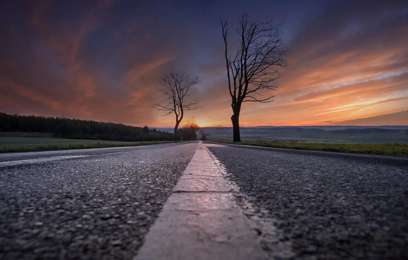Photo wallpaper road, trees, sunset