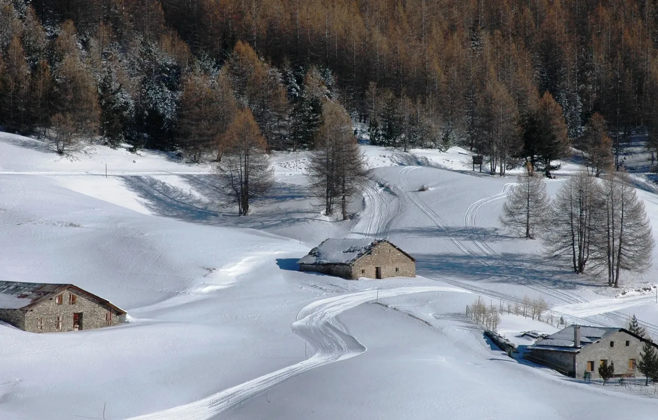 Photo wallpaper winter, forest, snow, home