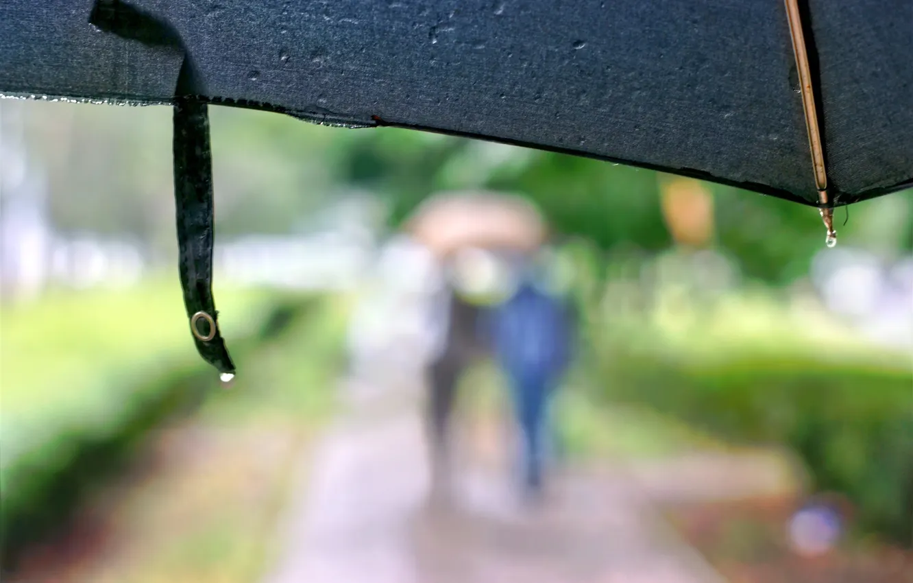 Photo wallpaper rain, street, people, umbrella, the sidewalk, weather
