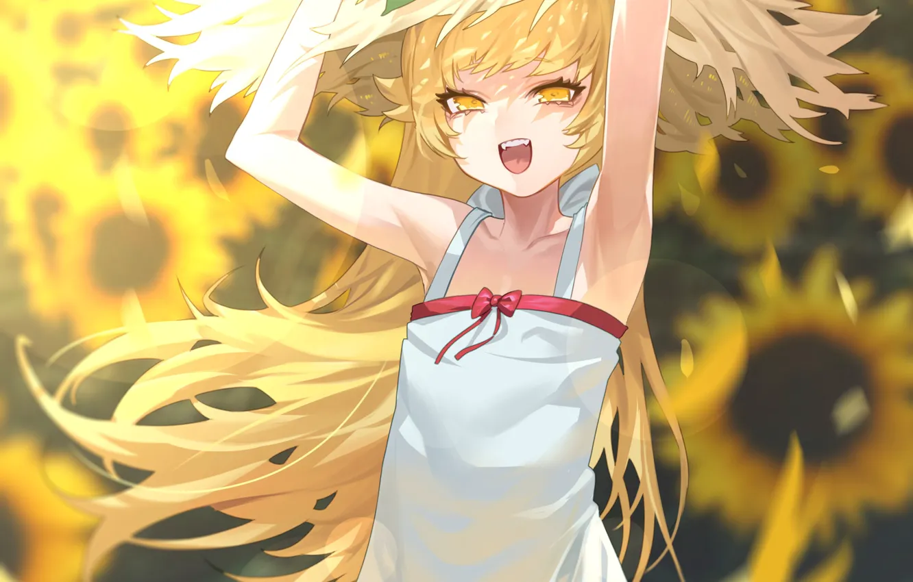 Photo wallpaper summer, girl, sunflowers, bakemonogatari, oshino shinobu