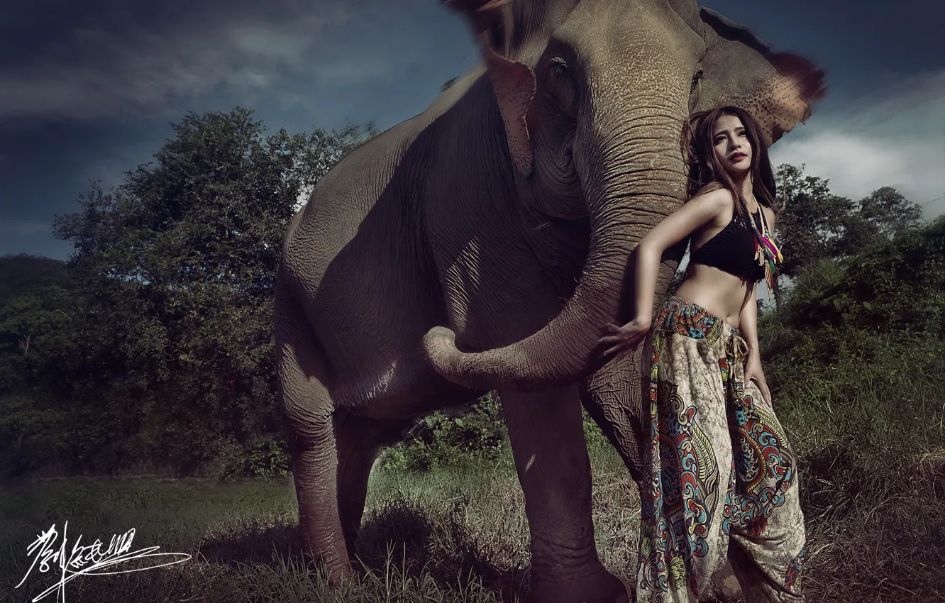 Photo wallpaper girl, pose, elephant