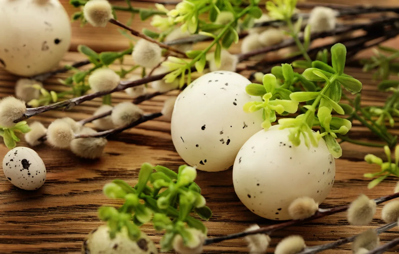 Photo wallpaper eggs, Easter, Verba, flowers, spring, Easter, eggs