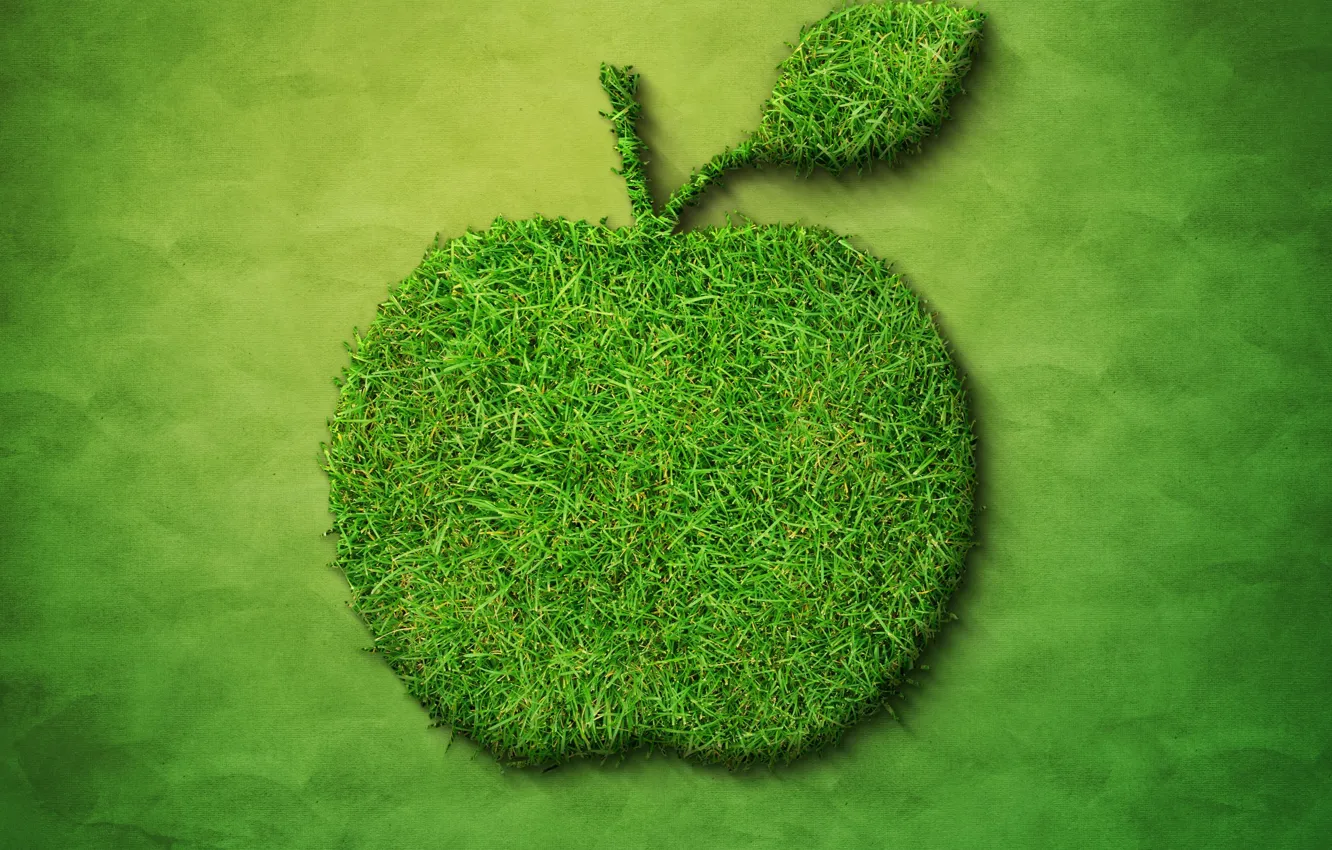 Photo wallpaper grass, apples, 3D