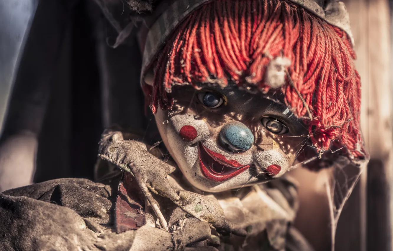 Photo wallpaper macro, background, doll