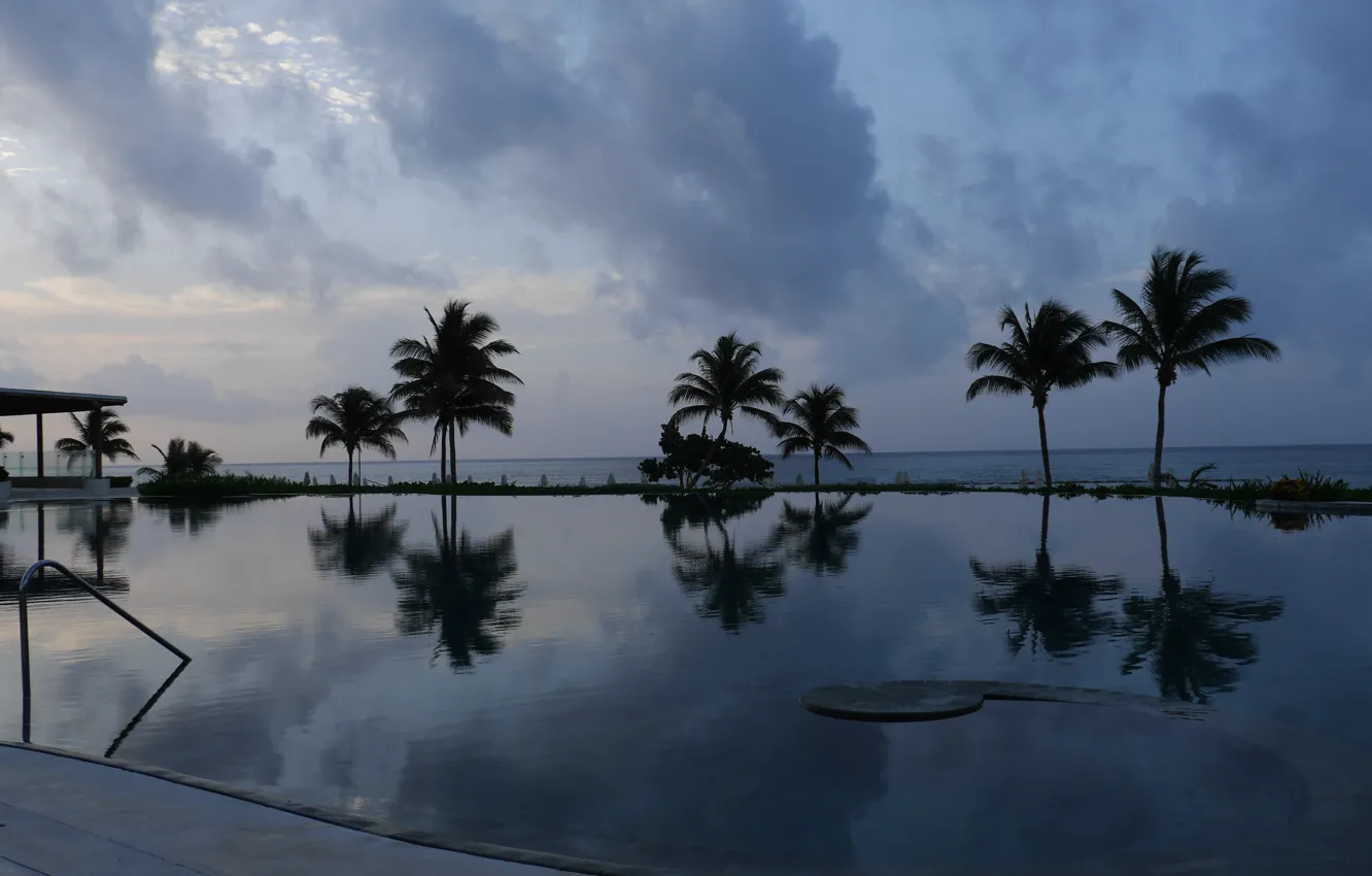 Photo wallpaper sea, palm trees, Mexico