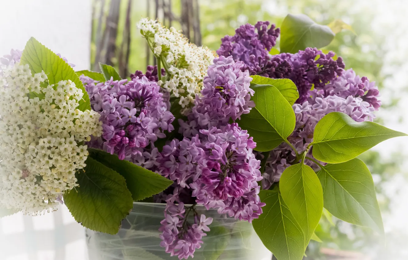 Photo wallpaper bouquet, spring, lilac