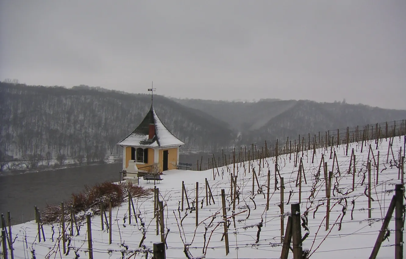 Photo wallpaper river, winter, snow, fog, cloudy, Vineyard, Riverside