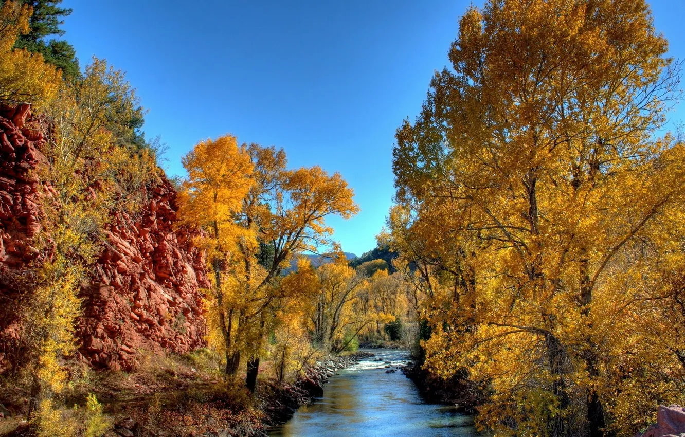 Photo wallpaper autumn, trees, rocks, river