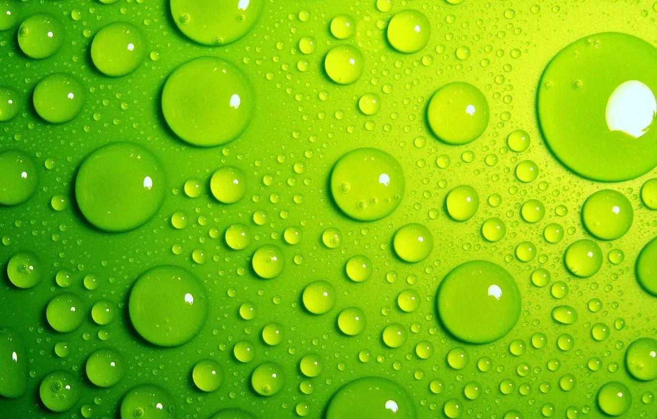 Photo wallpaper water, drops, macro, green