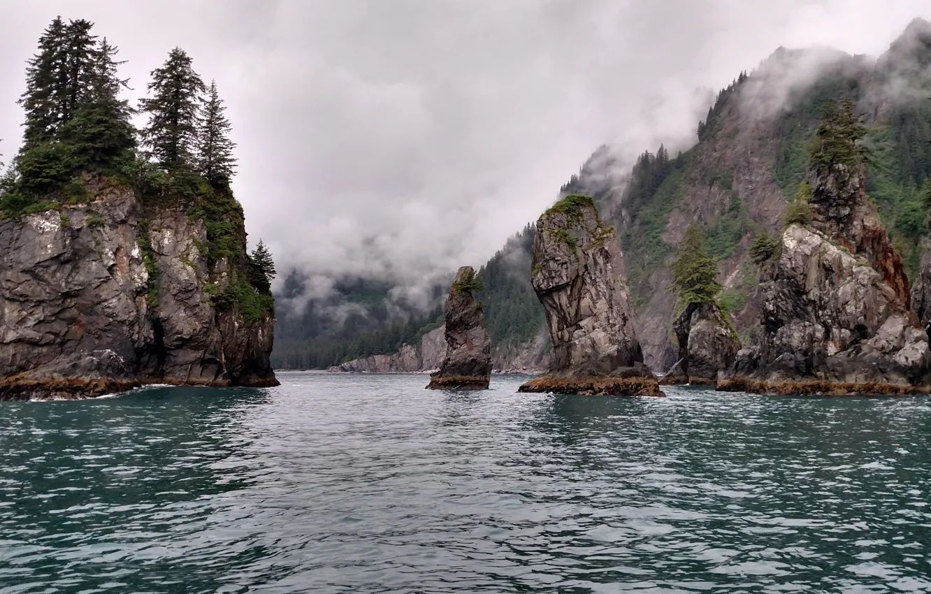 Photo wallpaper trees, mountains, nature, fog, the ocean, rocks, USA, Alaska