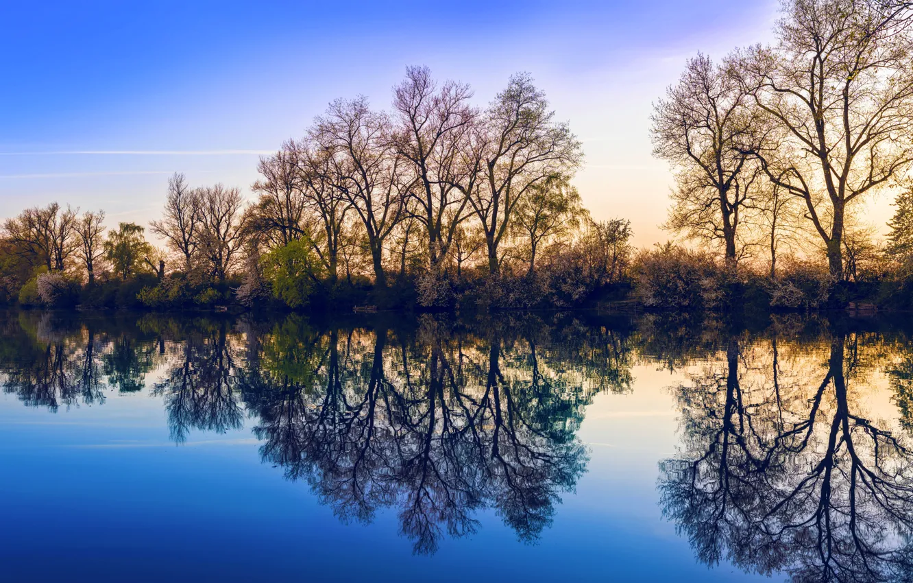Photo wallpaper water, trees, spring, flood