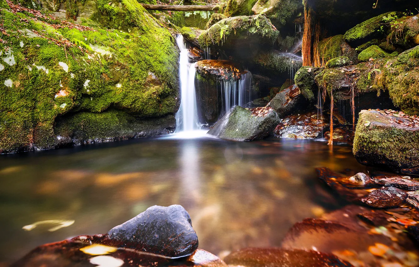 Photo wallpaper greens, autumn, leaves, stones, waterfall, moss, stream