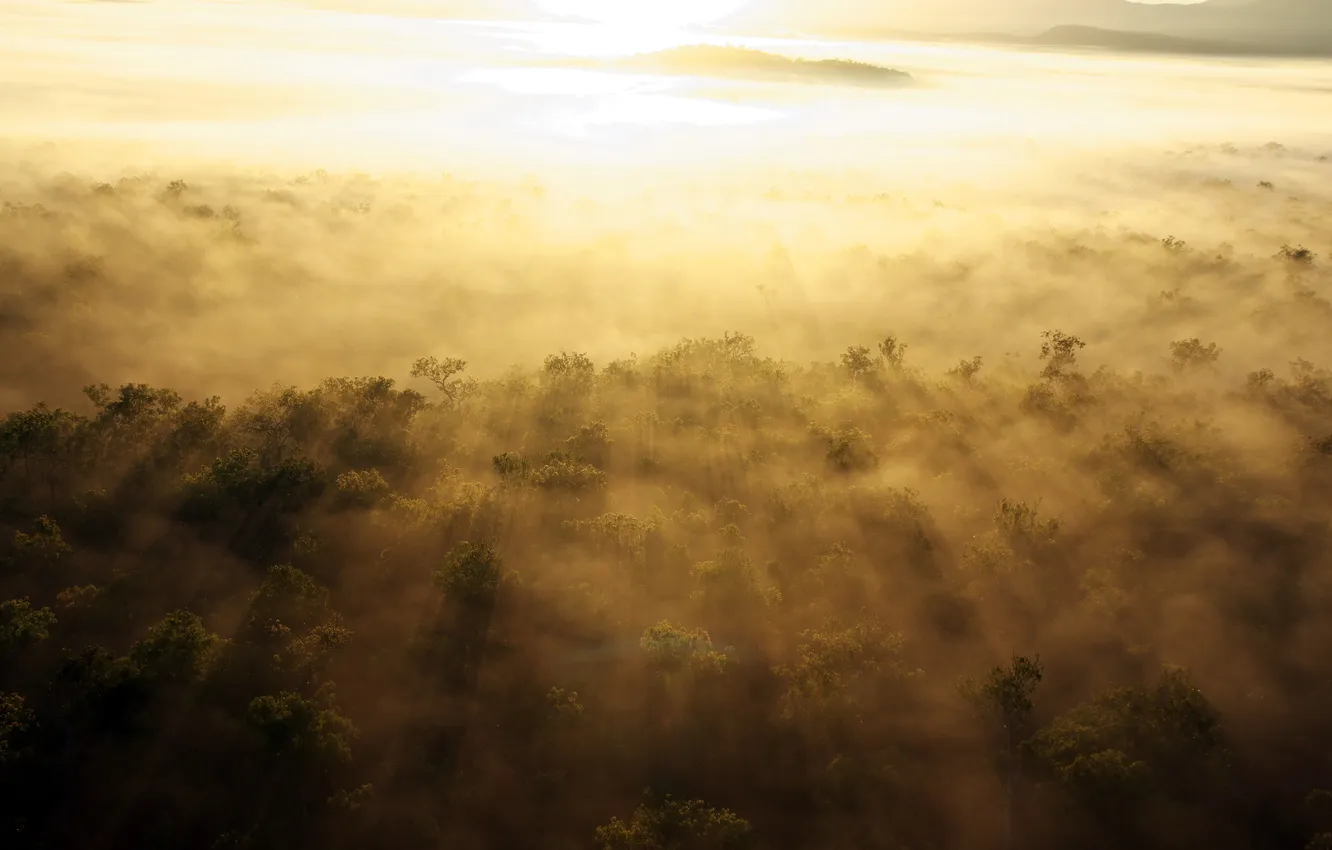 Photo wallpaper landscape, fog, morning