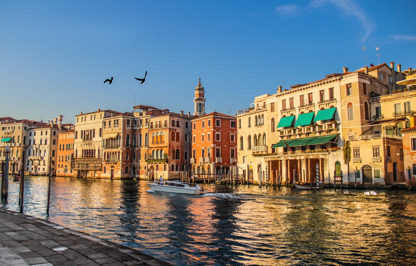 Photo wallpaper bird, home, boat, Italy, Venice, channel