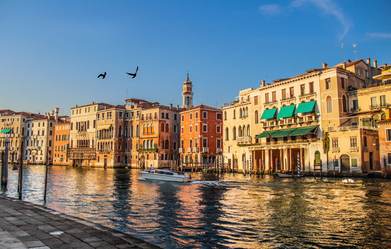 Photo wallpaper birds, home, boat, Italy, Venice, channel