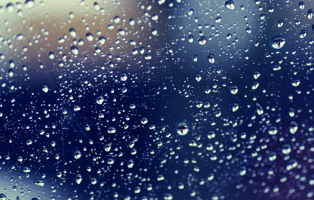 Photo wallpaper drops, rain, drops