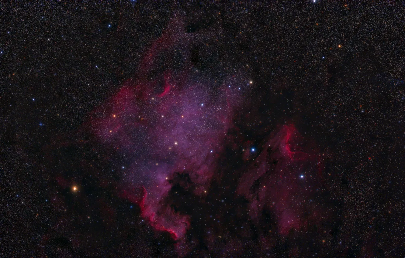 Photo wallpaper space, North America, Pelican Nebulas