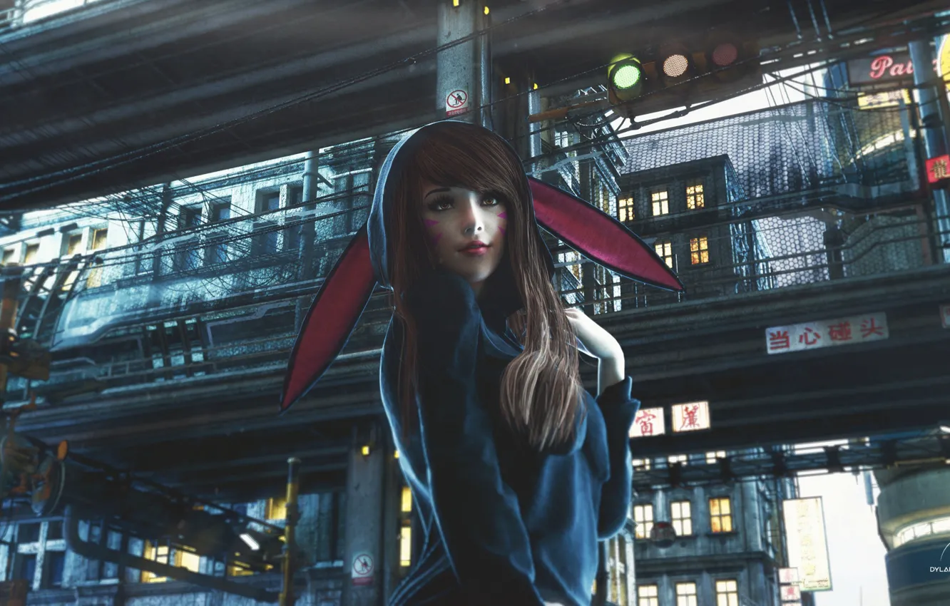 Photo wallpaper girl, animal ears, Overwatch, D.Va