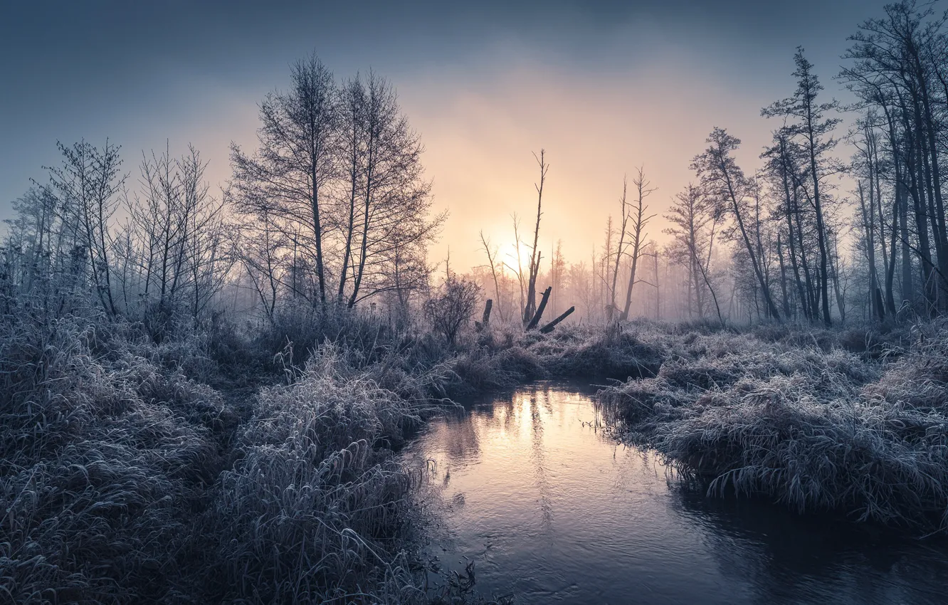 Photo wallpaper the sky, water, trees, nature, river, Tomczak Michael