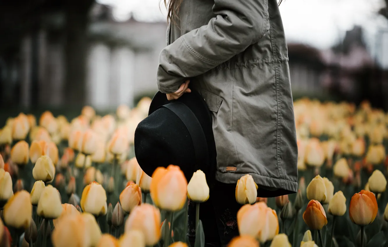 Photo wallpaper girl, flowers, hat, jacket, tulips