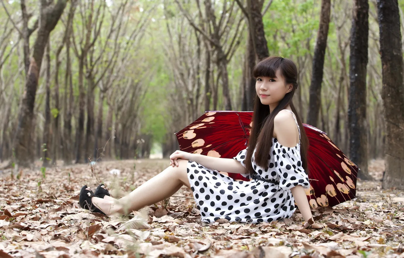 Photo wallpaper look, leaves, girl, umbrella, Asian