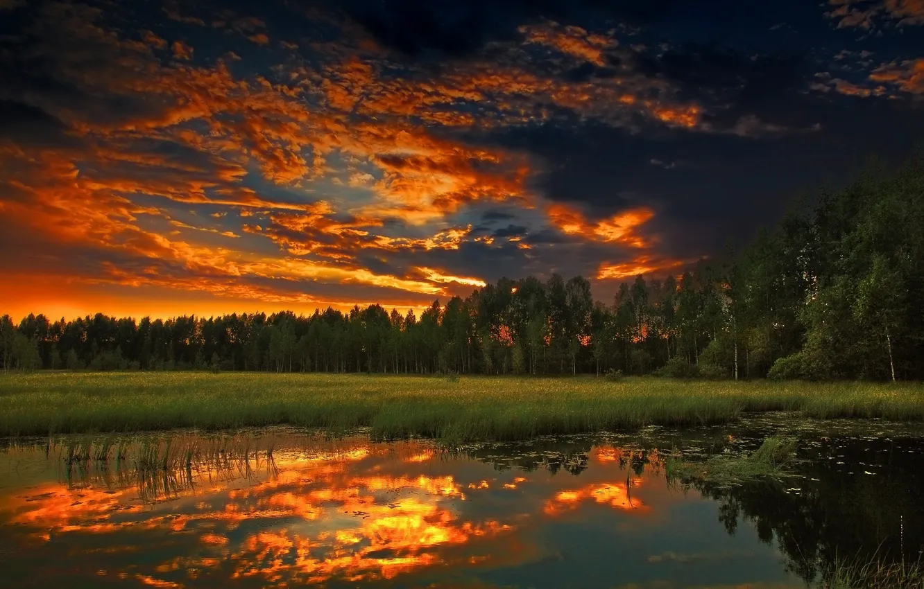 Photo wallpaper forest, the sky, clouds, trees, sunset, lake, reflection, dawn