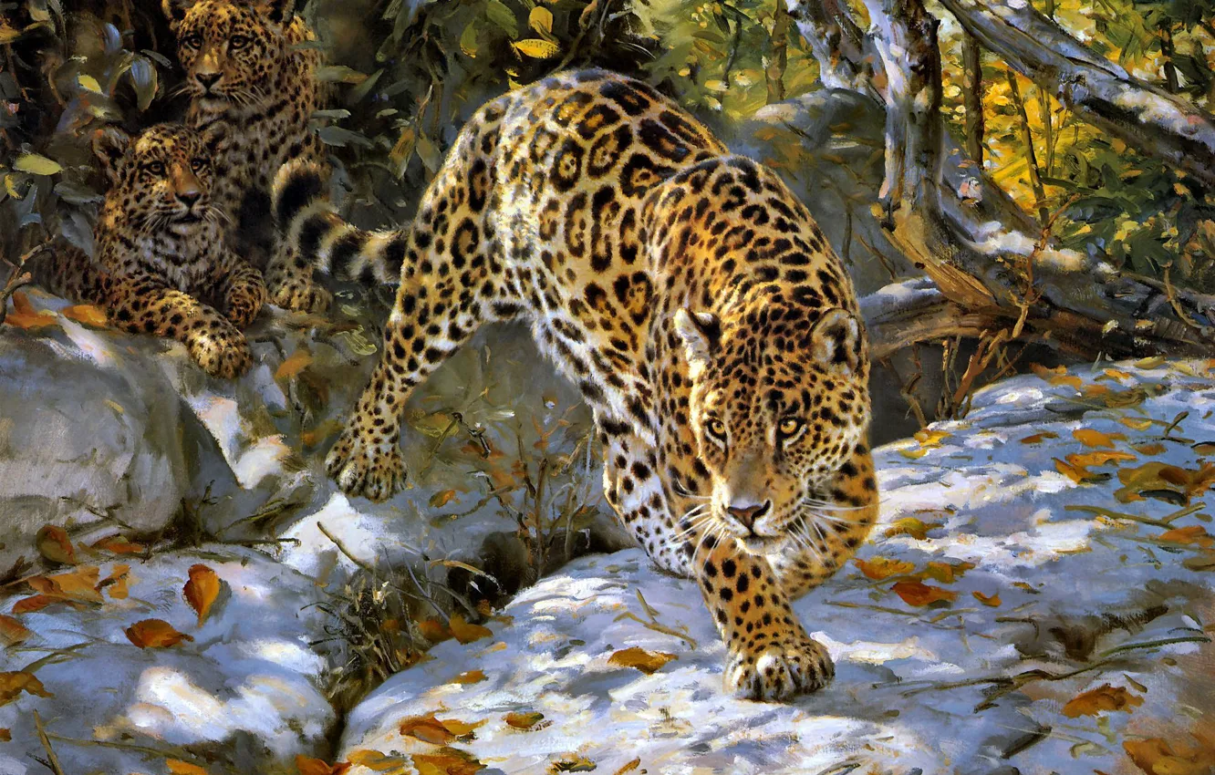 Photo wallpaper autumn, art, Jaguar, Donald Grant