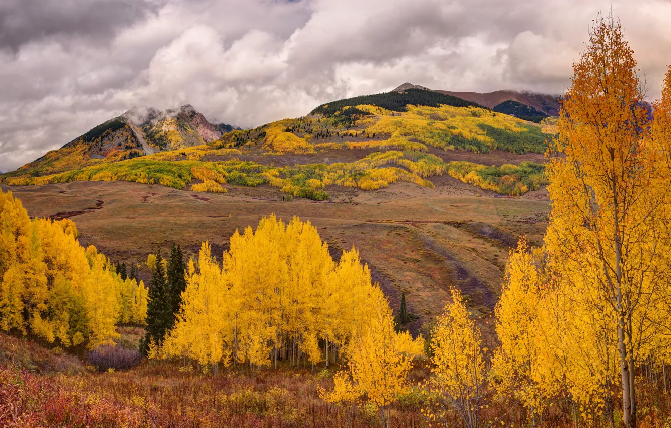 Photo wallpaper autumn, forest, mountains, clouds, slope, the colors of autumn, Golden autumn