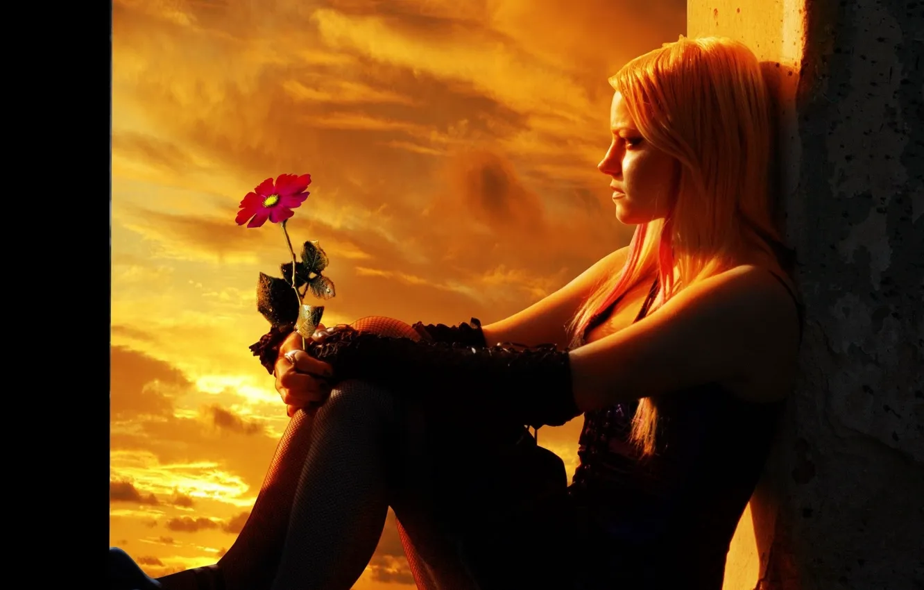 Photo wallpaper girl, flower, sky, sunset, mood