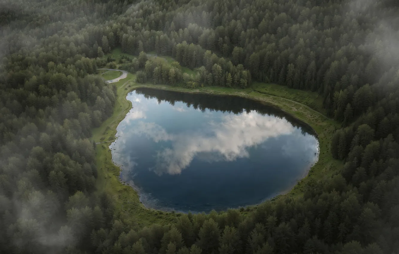 Photo wallpaper forest, fog, lake, the, AI art