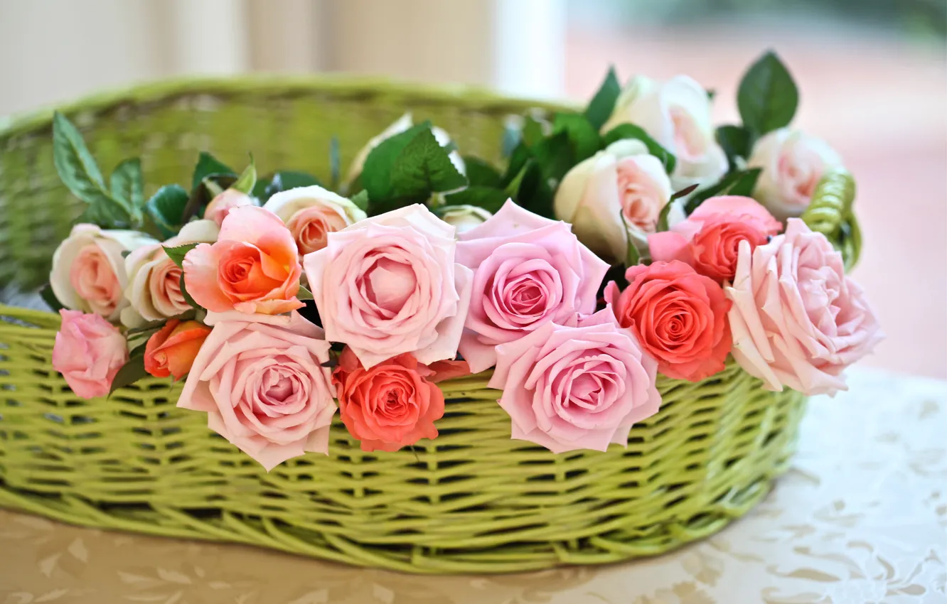 Photo wallpaper basket, roses, buds, © Elena Di Guardo