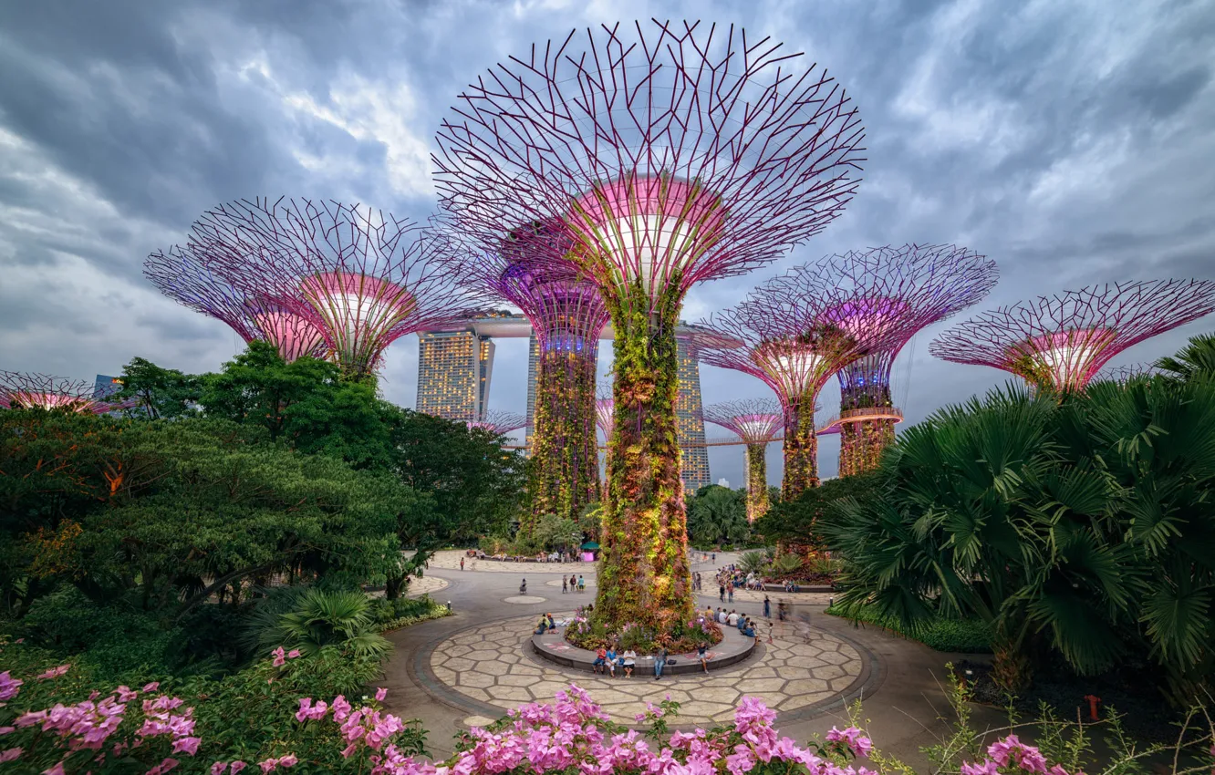 Photo wallpaper trees, the city, Park, Singapore, Gardens by the Bay, Supertree Grove