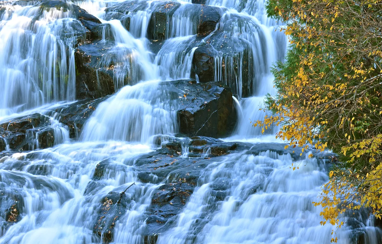 Photo wallpaper autumn, leaves, branches, yellow, waterfall, stream, cascade