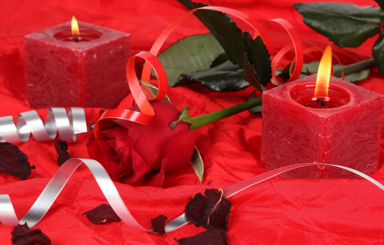 Photo wallpaper flowers, heart, candles, Rose, roses, romance, candles, Red rose