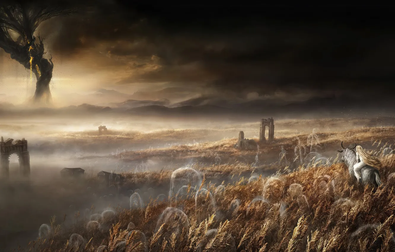 Photo wallpaper field, the game, fantasy, Elden Ring