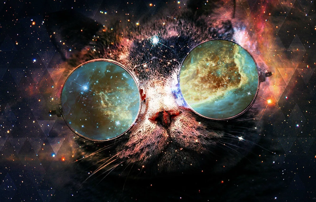 Photo wallpaper cat, space, glasses, retouching