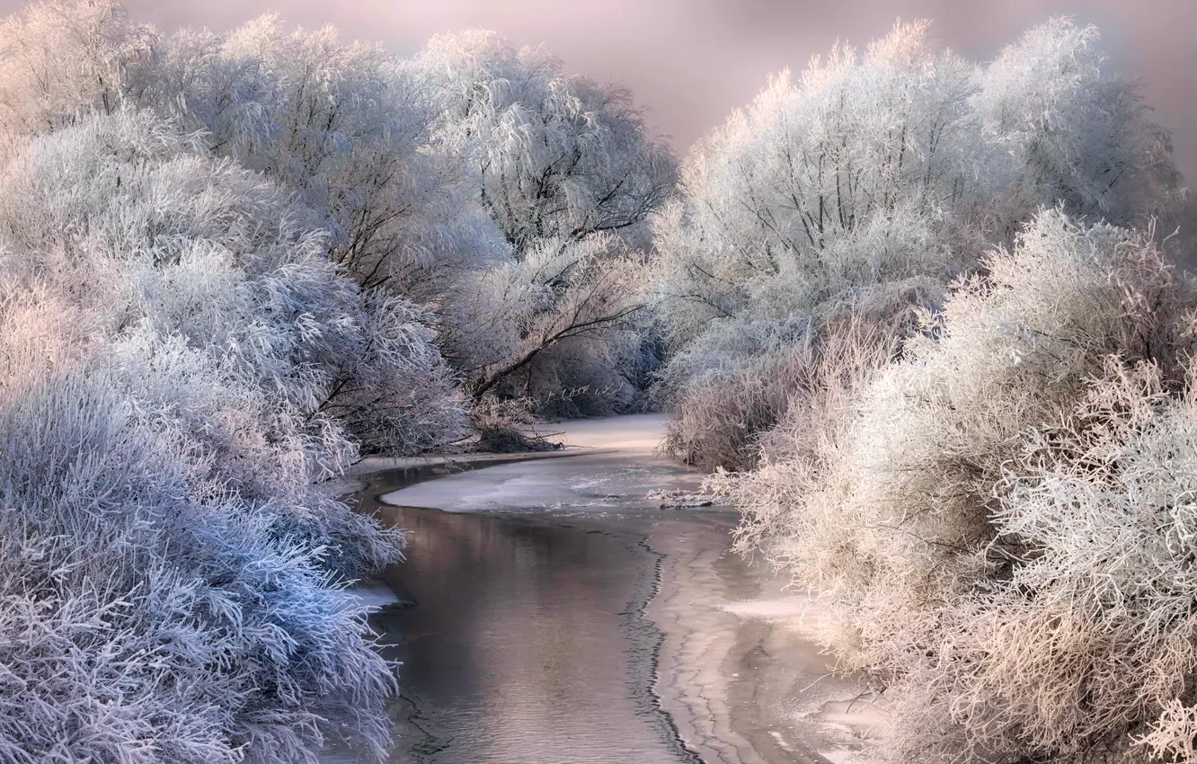 Photo wallpaper winter, frost, snow, trees, nature, river, ice