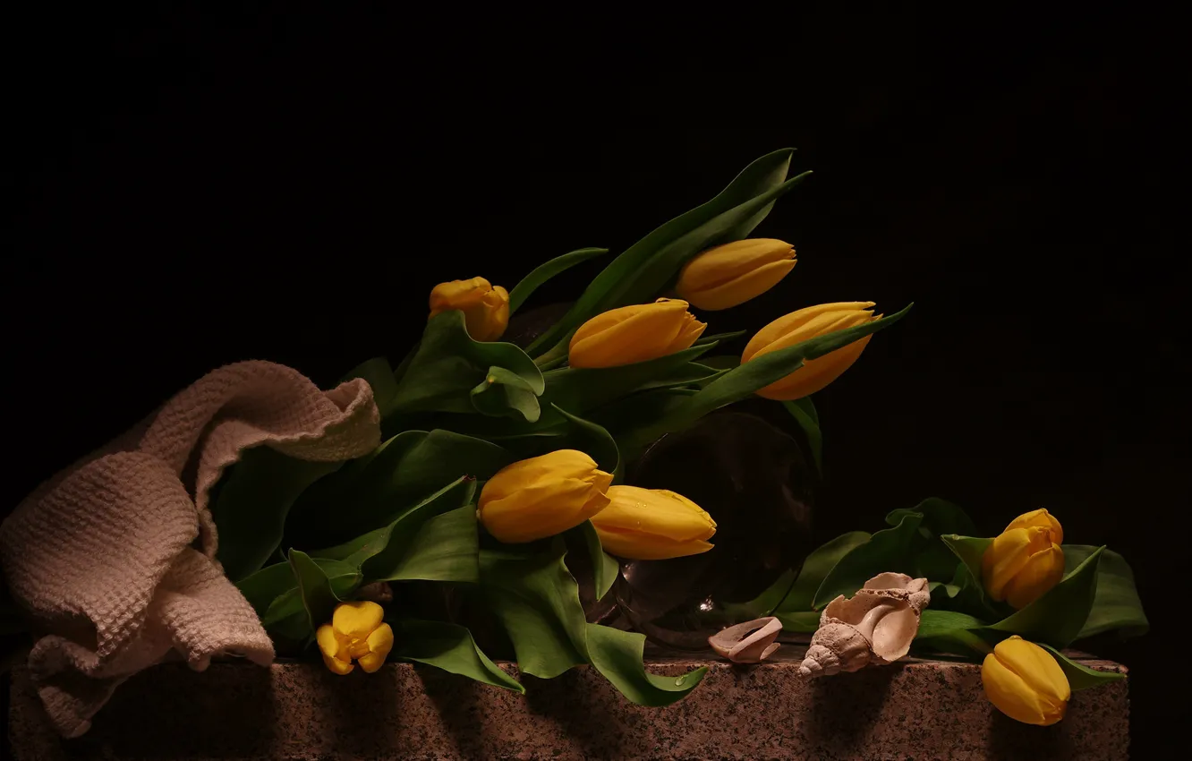 Photo wallpaper flowers, bouquet, tulips, still life