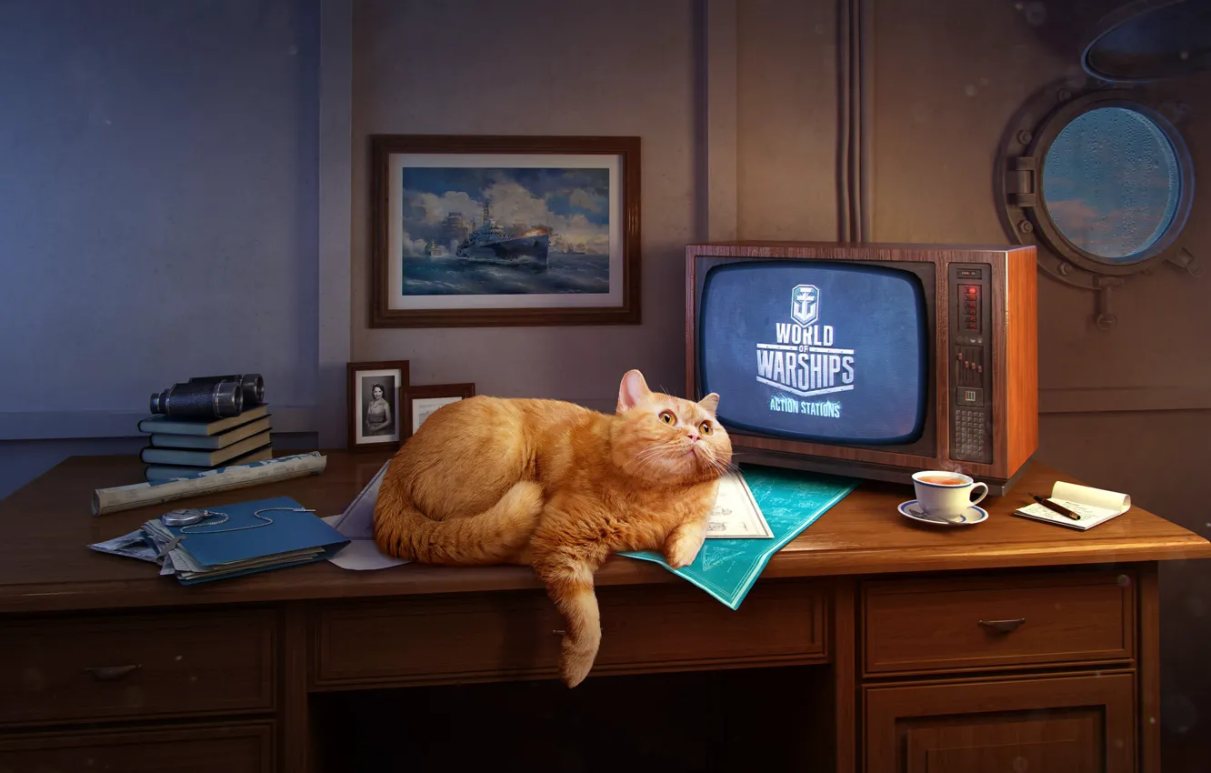 Photo wallpaper The game, Table, Cat, Ship, The window, Wargaming, World of Warships, Cabin