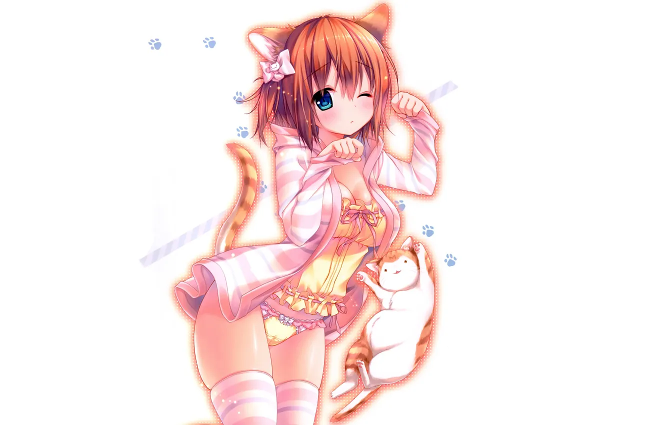 Photo wallpaper girl, sexy, lingerie, Cameltoe, cleavage, blouse, panties, thighhighs