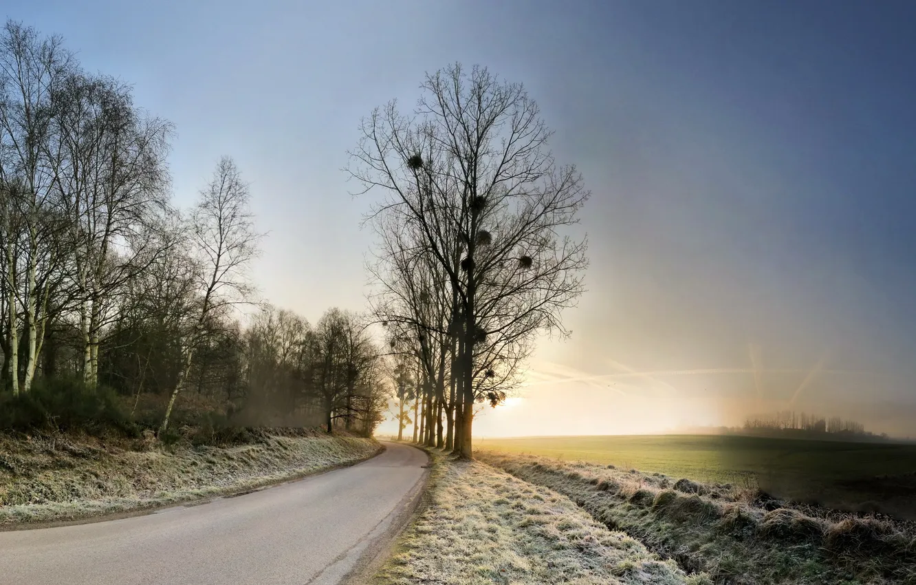 Photo wallpaper road, trees, landscape