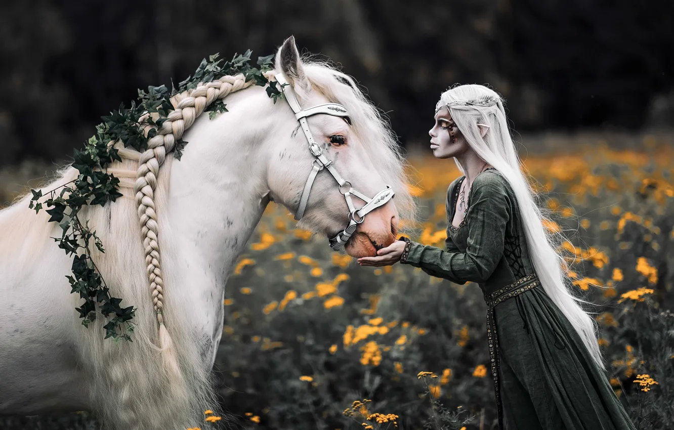 Photo wallpaper girl, style, horse, horse, makeup