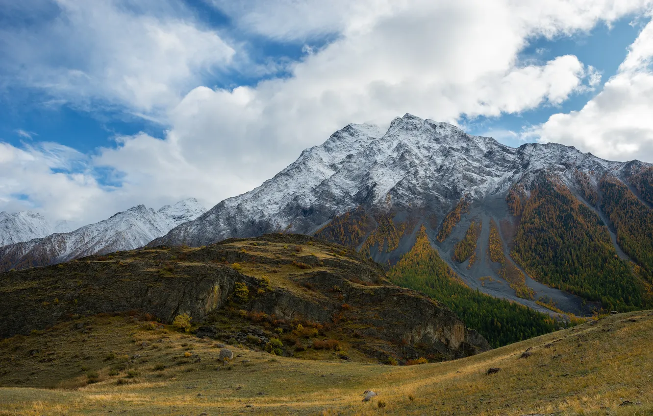 Photo wallpaper forest, clouds, mountains, valley, Rustem Dikov