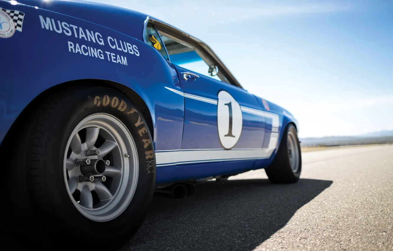 Photo wallpaper car, blue, speed, Mustang, Ford, Muscle, 1969, car
