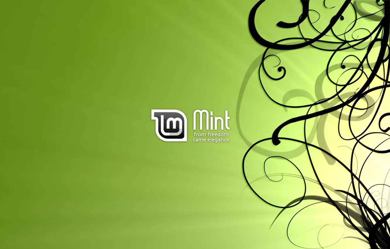 Photo wallpaper Line, Linux, Linux Mint, Linux mint, LINUX, Black lines
