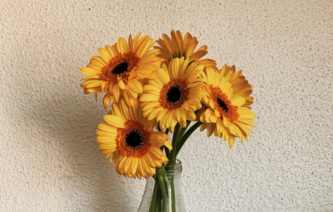 Photo wallpaper flowers, wall, bouquet, gerbera